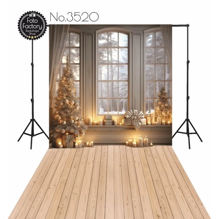 Christmas & Winter photography backdrop 3520