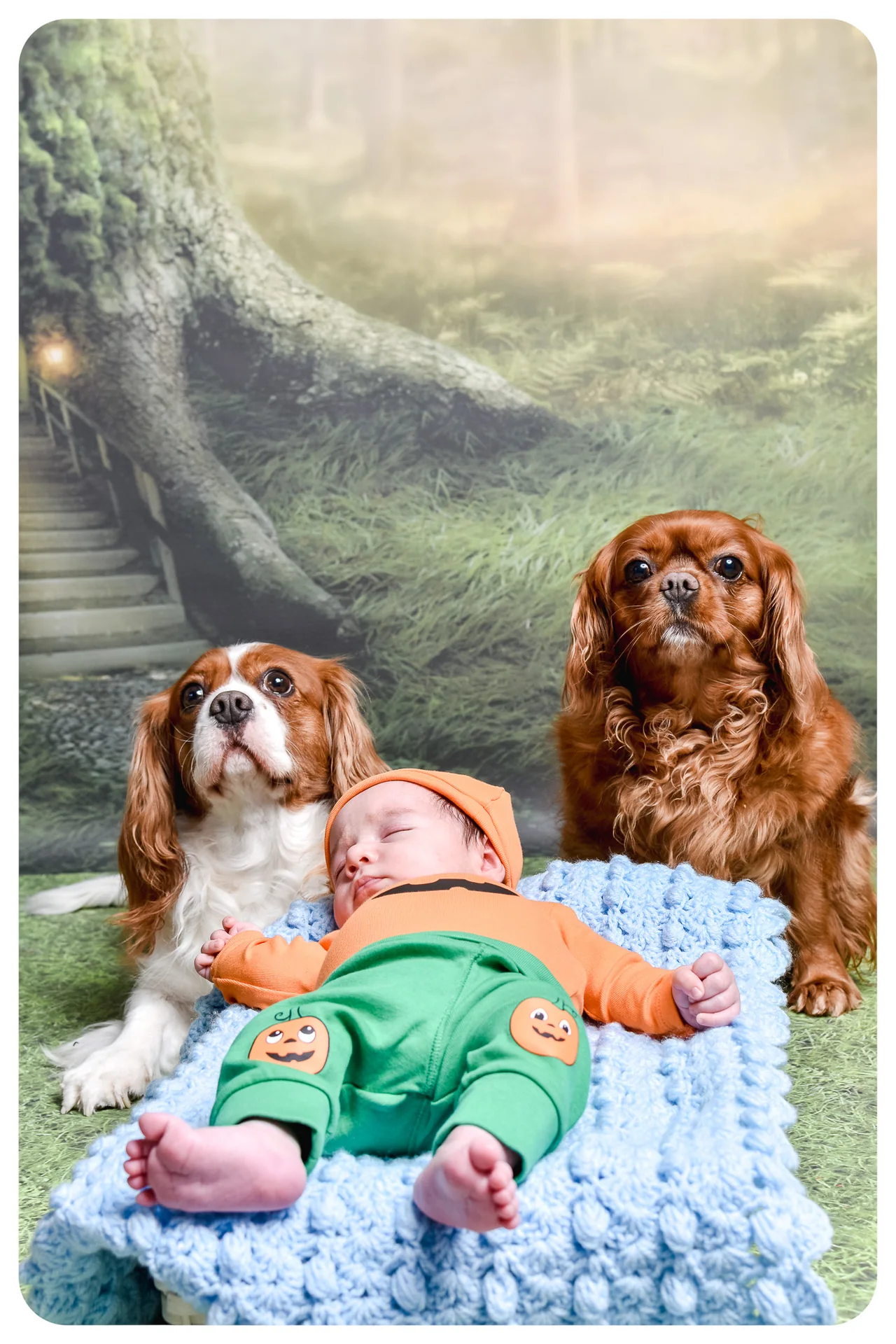 Real photoshoot using backdrop 2141, example 1