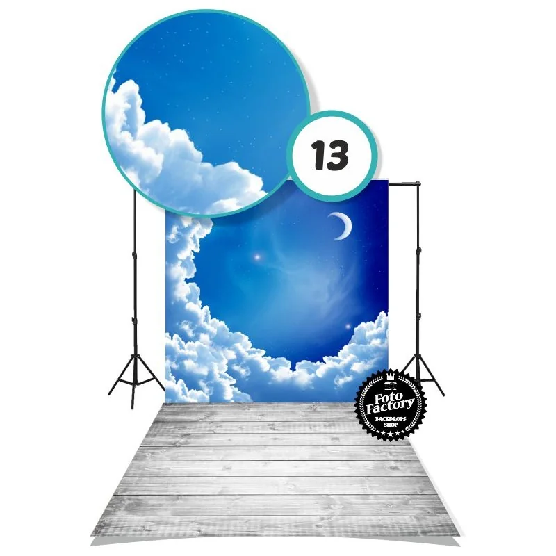 Fairy-Tale photography backdrop 13