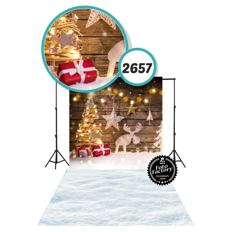 Christmas & Winter photography backdrop 2657