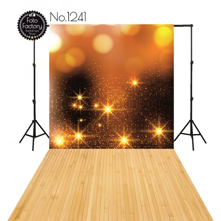 Christmas & Winter photography backdrop 1241