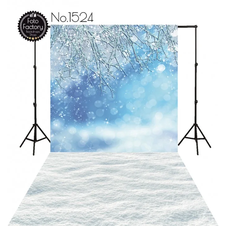 Christmas & Winter photography backdrop 1524