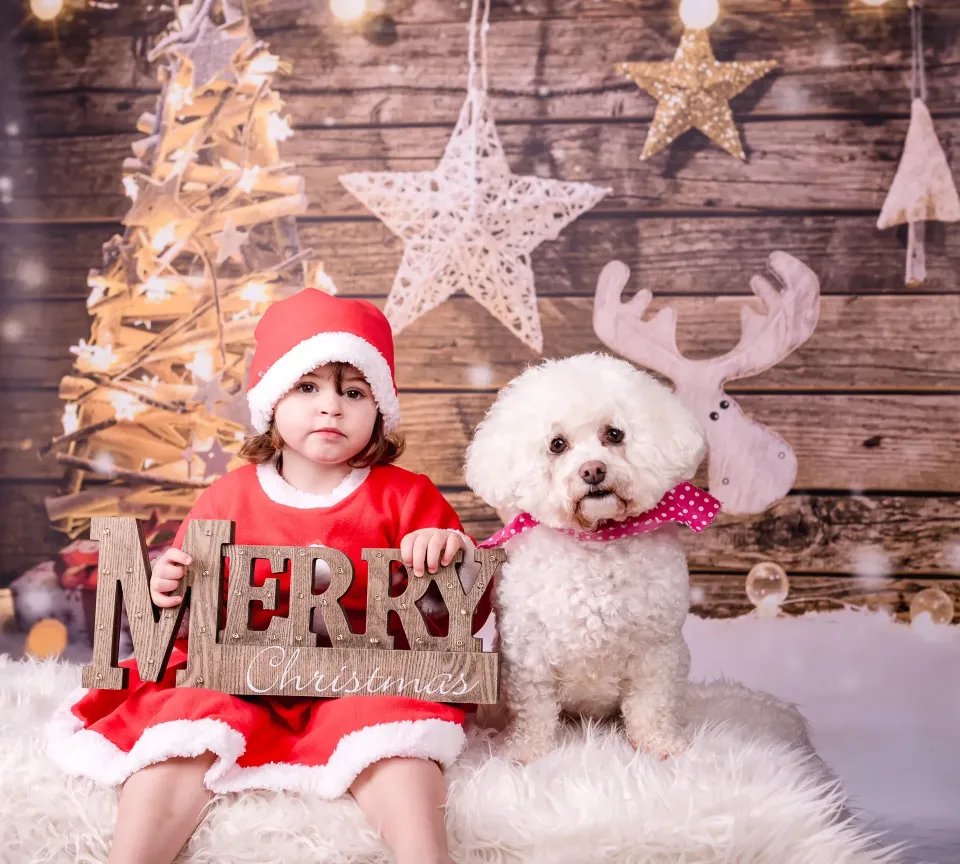 Girl in a red Christmas outfit sitting beside a white dog in a festive studio setting